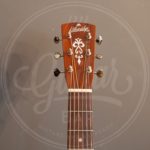 Blueridge BR40CE E/A