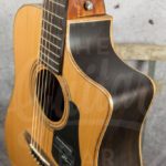 Mayson Elementary Series dreadnought