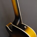 Reverend Peter Anderson Custom HB satin tobacco burst