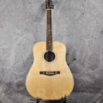 Eastman AC220 Dreadnought 2-series With Case