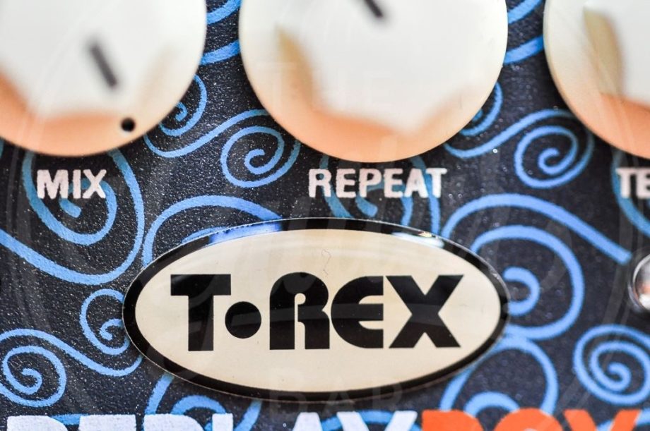 T rex Replay Box Delay Pedal