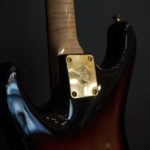 Valley Arts strat flame maple top 3TS