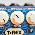 T rex Replay Box Delay Pedal