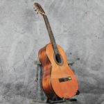 Salvador Cortez Solid Top Artist Series classic guitar 7/8