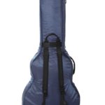 Ritter performance 5 335 gigbag