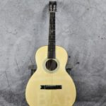 Eastman E10 00-model 10