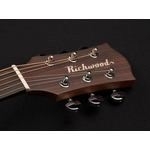 Richwood Master Series handmade dreadnought guitar