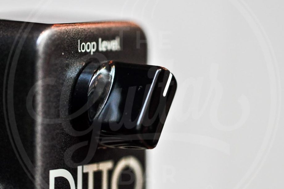 TC Electronic Ditto Looper