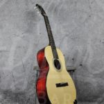 Eastman E10 00-model 10