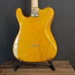 Valley Arts strat