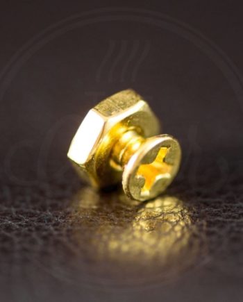 WD Music screw kit for pickguard bracket, gold