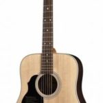 Richwood dreadnought lefthand solid top