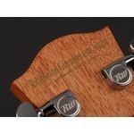 Richwood Master Series handmade dreadnought guitar