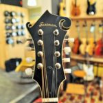 Eastman F-style with F-holes KNK PU