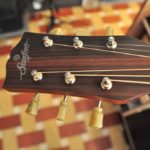 Stanford D-Bird all solid DN sitka/mahogany