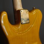Valley Arts strat