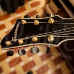 Eastman 17" 7-string AR810CE
