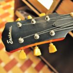Eastman solidbody single cutaway antique amber