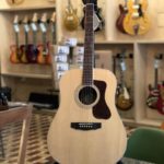 Guild D-260E striped ebony archback dreadnought (no gigbag)