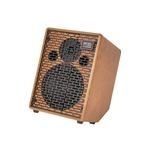 Acus 200W, three channels, reverb, tilt-back design