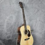 CORT Earth 70 Dreadnought mat