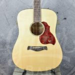 Richwood D-220 all solid dreadnought, spar/ mahonie, gigbag