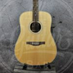 Eastman AC220 Dreadnought 2-series With Case