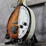 Danelectro Baby Sitar 68