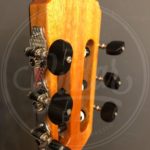 Cordoba Fusion 12 Spruce EA