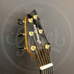 Breedlove Folkgitaar, Organic Artista, Concert, Natural Shadow