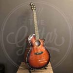 BREEDLOVE Folkgitaar, Organic Performer
