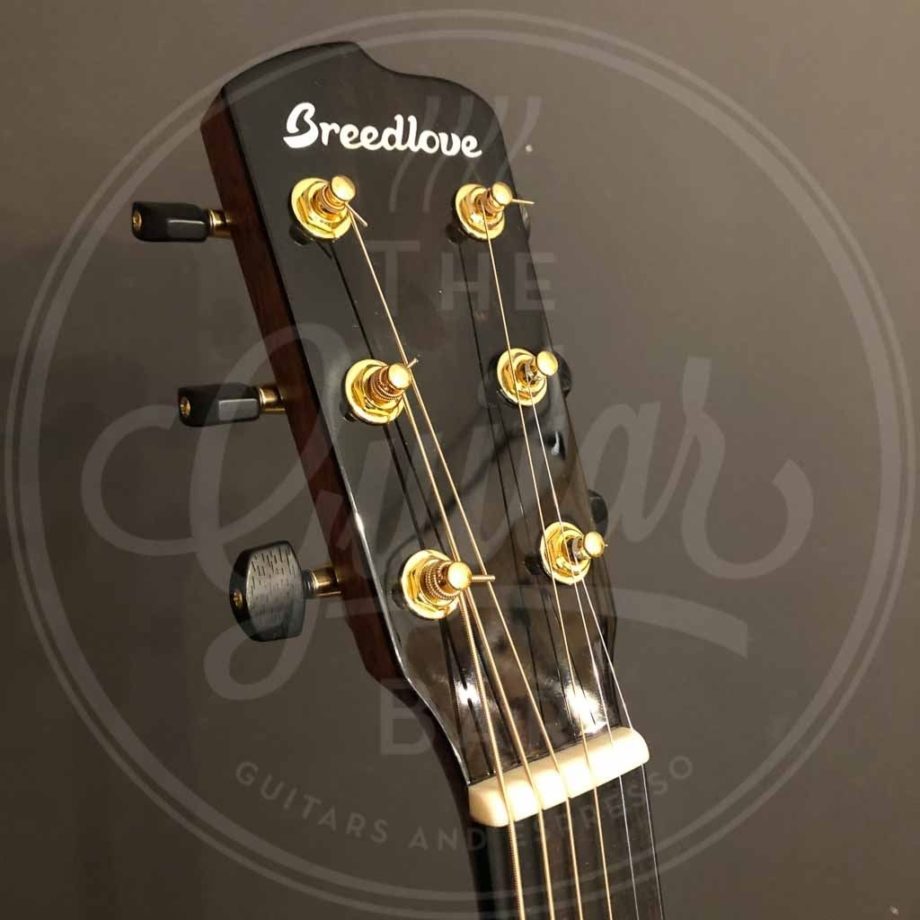 BREEDLOVE Folkgitaar, Organic Performer