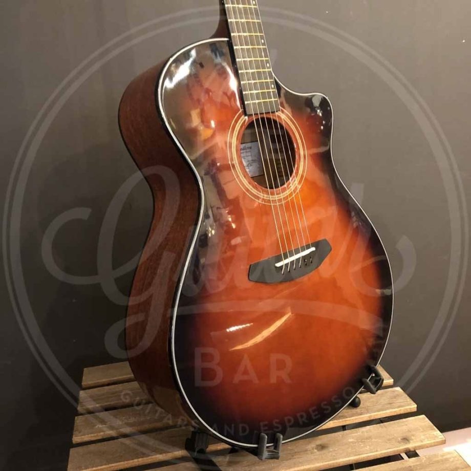 BREEDLOVE Folkgitaar, Organic Performer