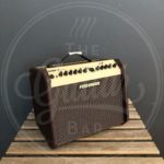 Fishman Loudbox mini