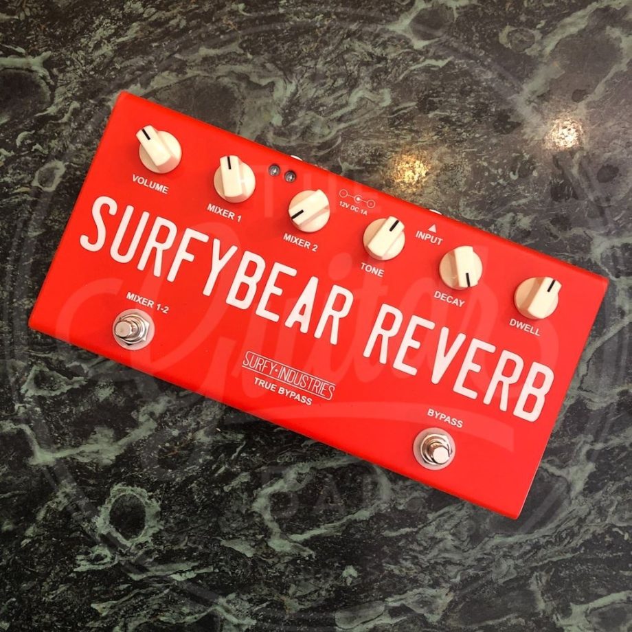 SurfyBear compact