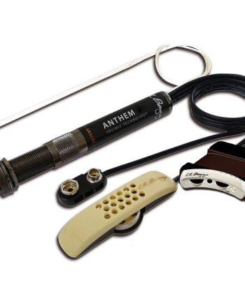 LR Baggs Anthem steelstring