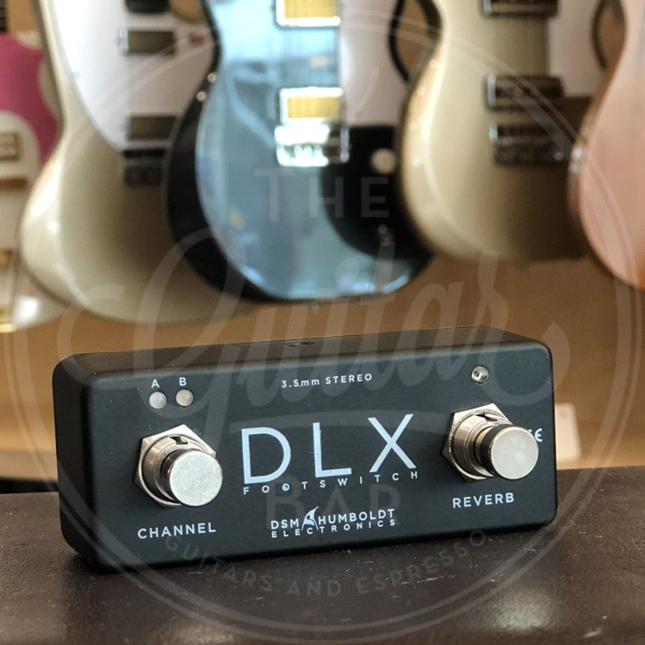 DSM & Humboldt DLX Simplifier Dual Amp with Reverb