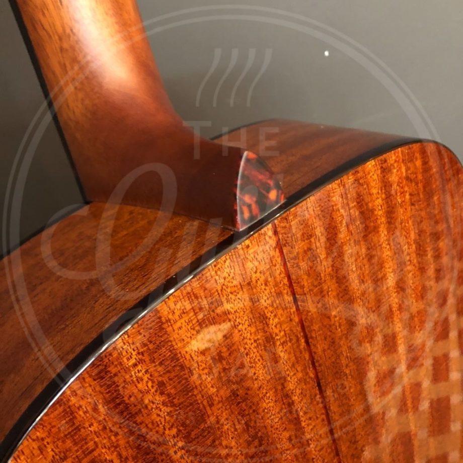 Stanford Drunken Daddy solid top & back sitka mahogany