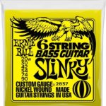 Ernie Ball 6-string bass