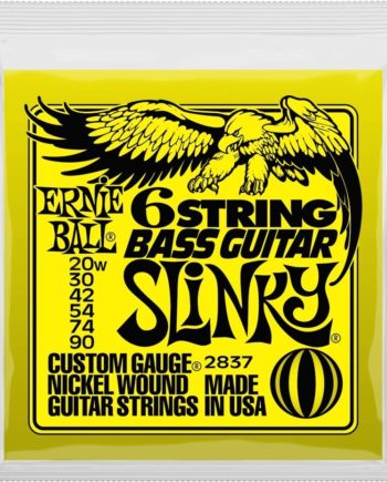 Ernie Ball 6-string bass