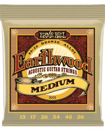 Ernie Ball Earthwood 80/20 medium