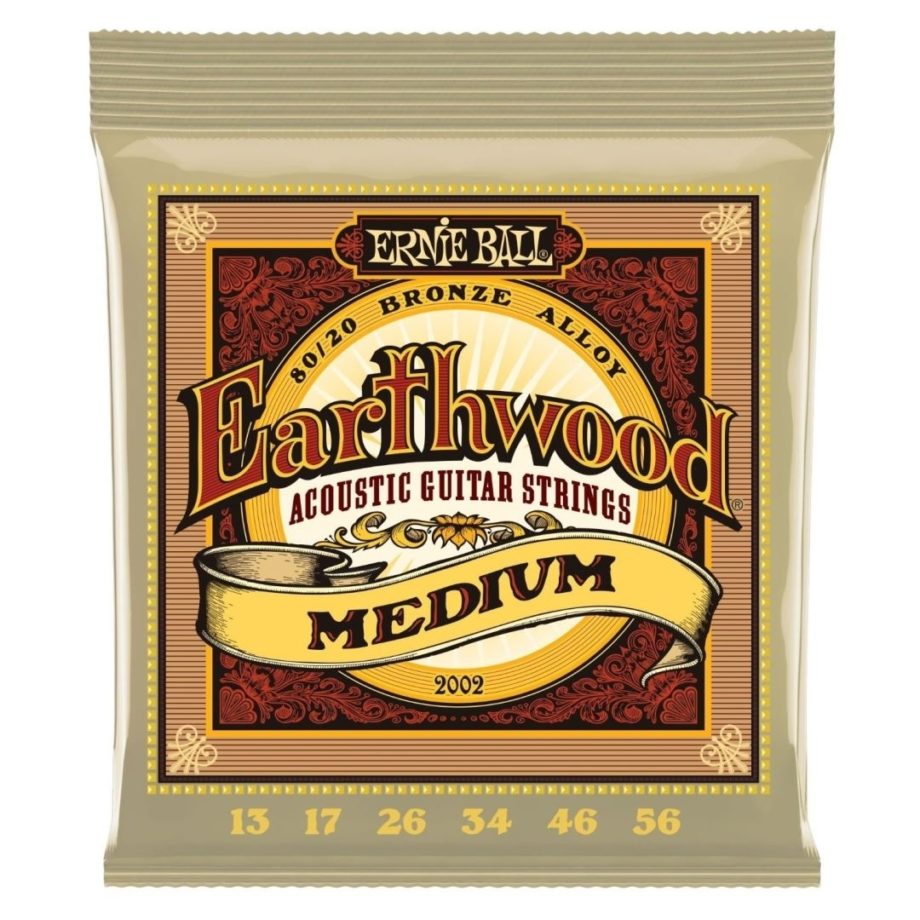 Ernie Ball Earthwood 80/20 medium