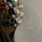 Reverend Warhawk Double Agent W coffee burst