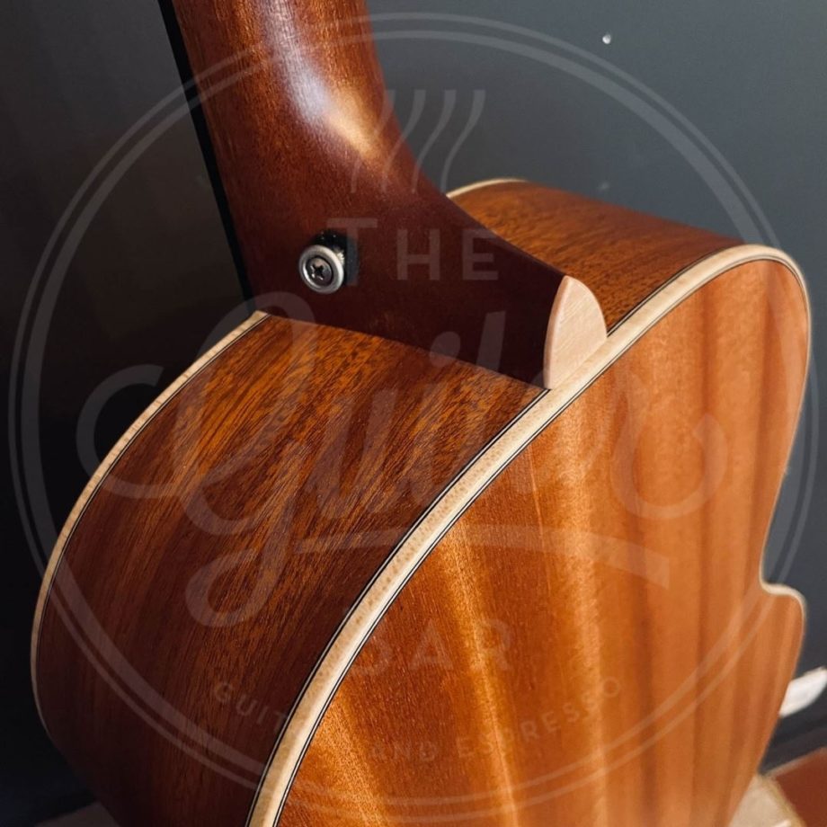 Johannes Striebel RS-12 custom build incl Hiscox case
