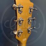 Guild X-175 Manhattan Special gold coast w/ Guild Vib