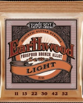 Ernie Ball Earthwood PB light
