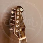 Reverend Reeves Gabrels Spacehawk MR