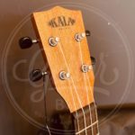 Kala learn to play soprano ukulele