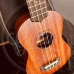 Kala Spruce Top Bundle w/bag