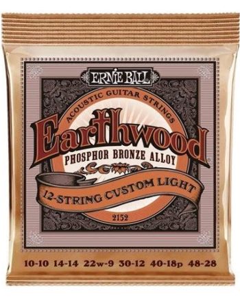 Ernie Ball Earthwood PB acoustic 12string